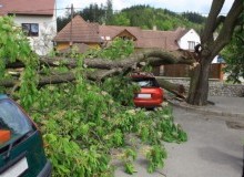 Kwikfynd Tree Cutting Services
burdett